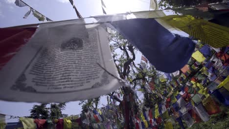 tree-decorated-buddhist-flags