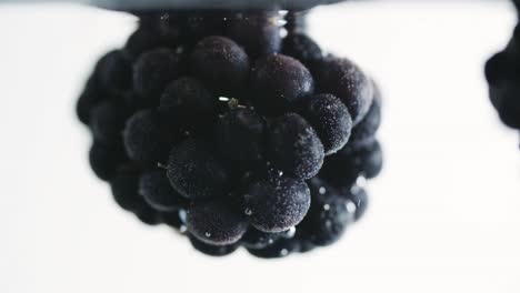 Blackberry-Fruit-Underwater