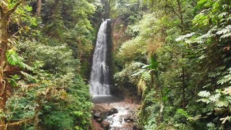 Waterfall-and-jungle-in-Bali,-Indonesia.-aerial-view-of-tropical-waterfall