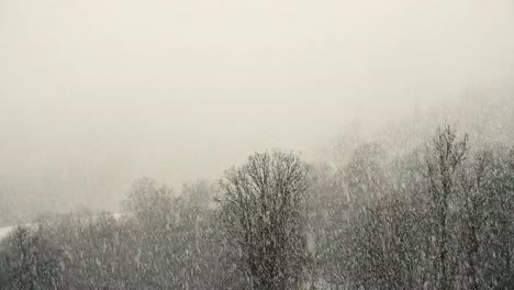 Fuertes-nevadas-en-las-montañas,-la-nieve-cae-por-una-pared,-lenta