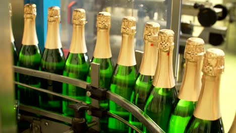 Champagne-bottles-on-factory-conveyor-belt