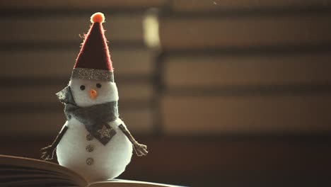 snowman-books-dust-hd-footage