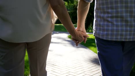Closeup-senior-couple-holding-hands-during-a-walk