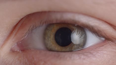 Close-up-shoot-of-greenish-eye-shrinking-fastly-the-pupil-in-the-state-of-fear-or-anxiety.