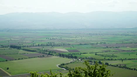 Alazani-valley,-Kakheti-region,-Georgia