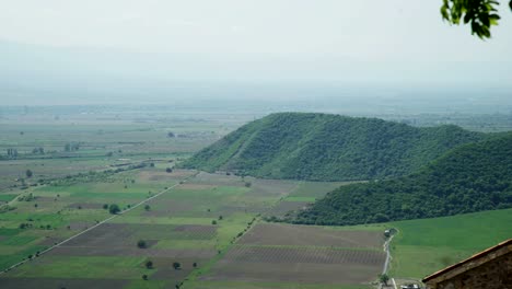 Alazani-valley,-Kakheti-region,-Georgia