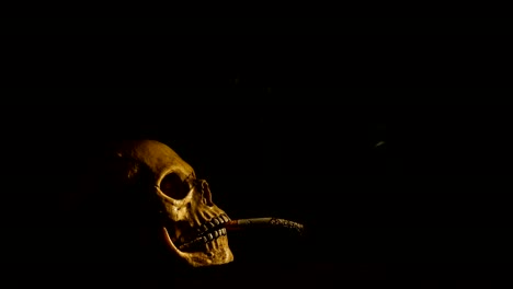 Human-skull-smoking-a-cigarette