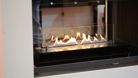 Modern-bio-fireplot-fireplace-on-ethanol-gas.-Smart-ecological