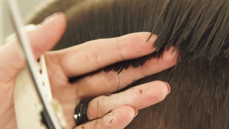 Hand-Haarschneider-Kämmen-nasse-Haar-und-mit-Friseur-Schere-zum-Schneiden-von-hautnah.-Friseur,-männliche-Frisur-mit-Kamm-und-Friseur-Schere-im-Friseurladen