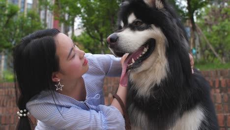 Mujer-joven-mirando-a-su-perro-grande-y-nariz-de-toque-perro,-4-k-lenta