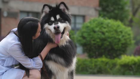 Mujer-asiática-joven-feliz-con-su-perro-malamute-de-Alaska-al-aire-libre,-4k