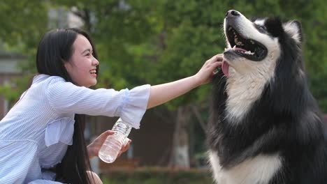 Glückliche-junge-Asiatin,-die-Verfütterung-von-Wasser-an-Hund-Alaskan-Malamute-im-Freien,-4k