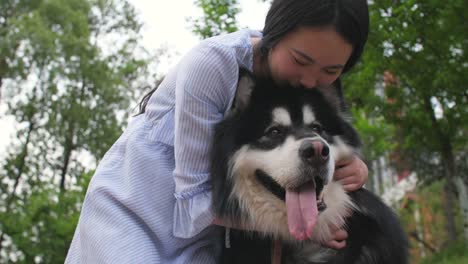 Feliz-joven-mujer-asiática-con-su-perro-Alaska-malamute-al-aire-libre,-4k