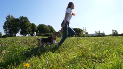 Muchacha-que-ríe-jugar-y-correr-con-su-perro-beagle