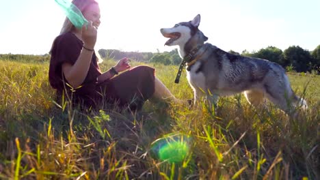 Dolly-shot-of-young-girl-with-blonde-hair-holding-in-hands-a-plastic-bottle-while-siberian-husky-biting-and-pulling-her-at-nature.-Happy-woman-spending-time-together-with-dog-at-field.-Low-angle-view