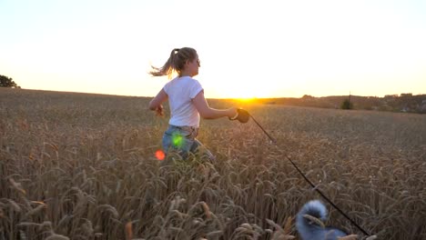 Profile-of-young-girl-holding-golden-wheat-stalks-in-hand-and-jogging-with-her-siberian-husky-on-leash-across-meadow.-Caucasian-woman-running-with-her-dog-at-cereal-field-on-sunset.-Close-up-Side-view