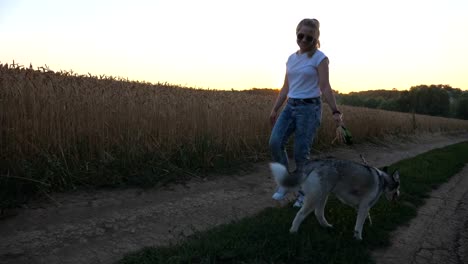 Happy-girl-holding-golden-wheat-stalks-in-hand-and-walking-with-her-siberian-husky-along-road-near-wheat-field.-Female-owner-going-with-cute-dog-on-leash-along-trail-near-meadow-at-sunset.-Close-up