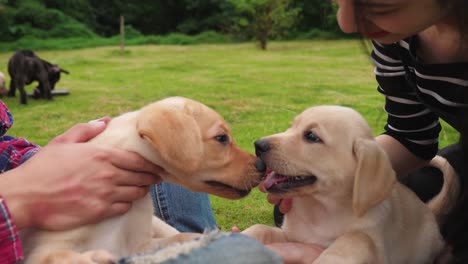 Junges-Paar-zusammen-mit-ihren-Hunden-im-freien