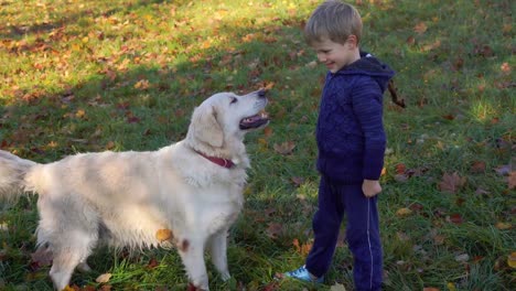 glücklicher-kleine-junge-europäische-Erscheinung-ist-Spaß-spielen-im-Herbst-Park-mit-einem-großen-schönen-Hund