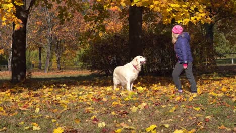 glückliches-kleine-Mädchen-von-europäischen-Erscheinungsbild-ist-Spaß-spielen-im-Herbst-Park-mit-einem-großen-schönen-Hund