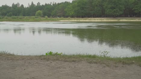 Hübsche-Frau-ist-mit-dem-Hund-in-der-Nähe-des-Sees-Fuß.