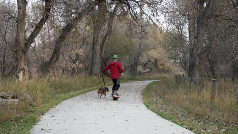 riding-an-electric-skateboard-with-a-dog