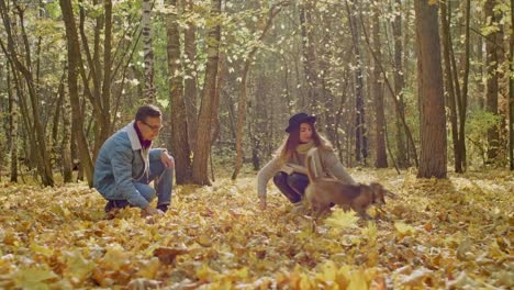 Couple-sitting-in-yellow-leaves-with-a-dog