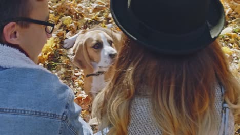 Perro-es-ser-acariciado-por-sus-dueños-en-el-bosque