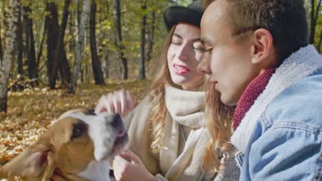 Pareja-con-un-perro-sentado-en-el-suelo-en-el-Parque-otoño