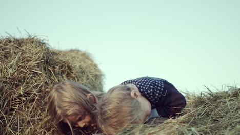 Kinder-spielen-mit-einem-Welpen-in-der-Krippe-im-Feld.