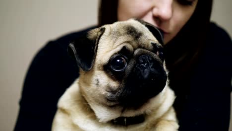 Schöne-Frau-umarmt-schläfrig-Mops.-Nahaufnahme-von-niedlichen-fetten-Mops-Hund,-indoor