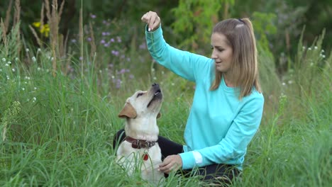 Junge-Frau-ist-mit-Hund-im-Wald-spazieren.