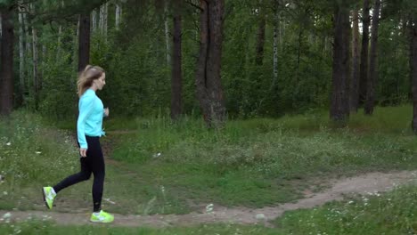 young-girl-runs-through-the-woods-with-her-thoroughbred-dog-on-warm-summer-day.