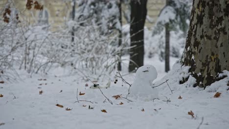 Jack-Russell-Terrier-Hund-spielen-im-Schnee-Welpen-glücklich-fröhlich