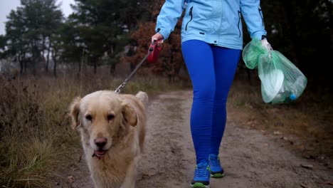 Passen-Sie,-weibliche-aufräumen-Wurf-im-Wald-beim-Joggen