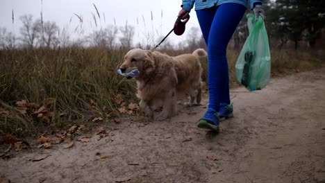 Weibliche-Besitzer-mit-Hund-tun-Plogging-im-Wald