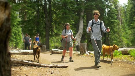 Eine-Gruppe-von-Freunden-Wandern-mit-dem-Hund