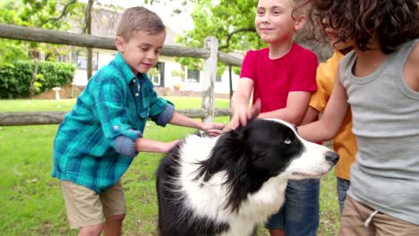 Kleine-Jungen-spielen-mit-einem-Border-Collie-Hund-im-Park