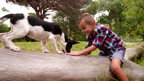 Smiling-Boy-lying-on-log-in-nature-facing-puppy-dog