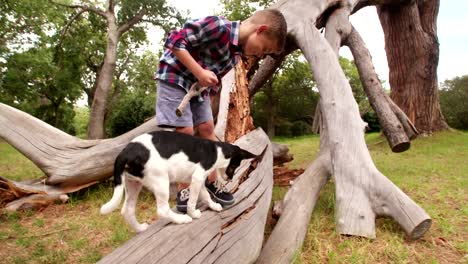 Playful-dog-playing-with-stick-a-little-boy-is-holding