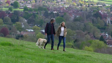 Mature-Couple-Taking-Golden-Retriever-For-Walk-Shot-On-R3D