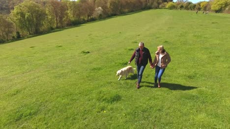 Luftaufnahme-des-reifes-Paar-und-Hund-auf-Spaziergang-In-Natur