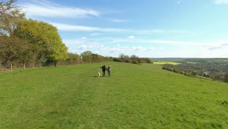 Toma-aérea-de-pareja-y-perro-en-a-pie-de-campo