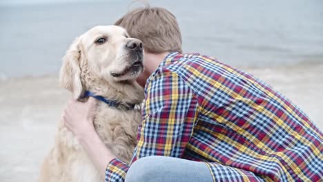 Golden-Retriever-als-guter-Junge