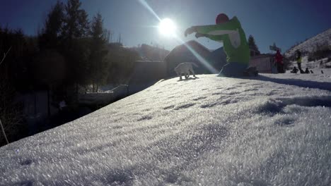 4K-Aufnahmen-eines-Mannes-mit-seinem-Bullterrier-im-Winter-spielen