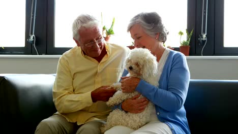 Senior-couple-pampering-dog