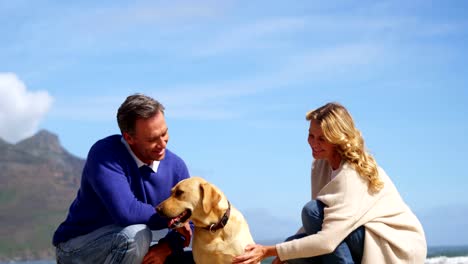 Gerne-älteres-Paar,-streicheln-ihren-Hund-am-Strand