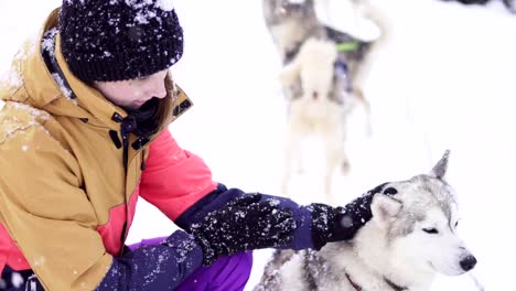 Hermosa-chica-abrazando-al-perro.-La-chica-con-el-husky-siberiano