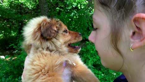 Mädchen-schöne-junge-glücklich-halten,-kleiner-Hund-spielen