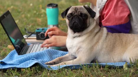 Mädchen-legen-und-tippen-auf-Laptop-auf-einer-Wiese-mit-ihrem-Mops-rund-um